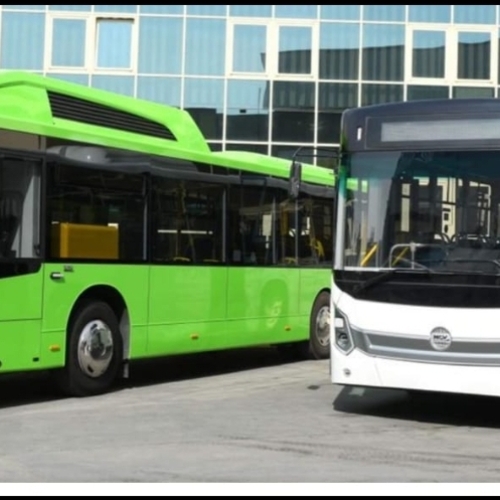 Providing green buses at COP27:
