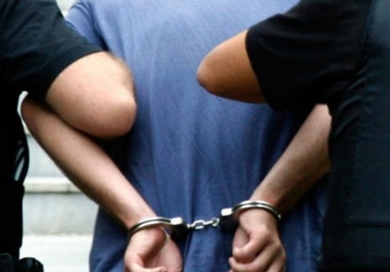 الولايات المتحدة تلقي القبض على متهمين لتورطهما في مساعدة رئيس نيسان السابق على الهرب ‎