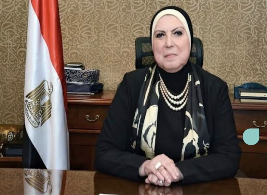 الحكومة توقف استيراد السيارات الكهربائية